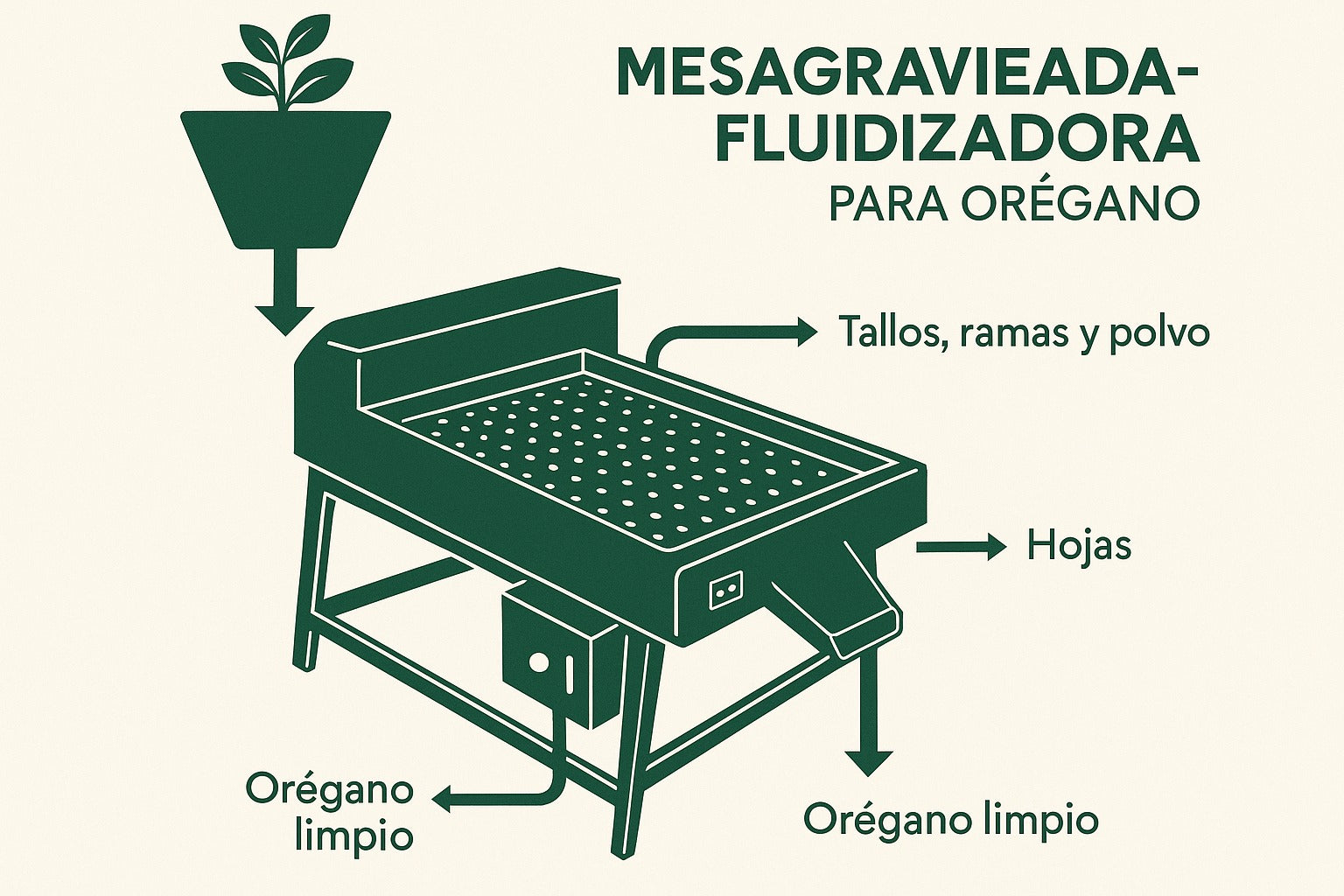 Maquina Fluidizadora de Orégano