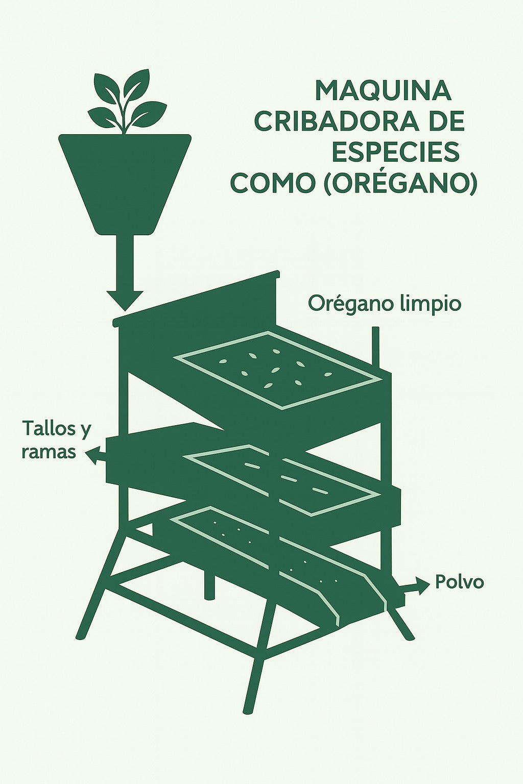 Maquina Cribadora de especias como Orégano